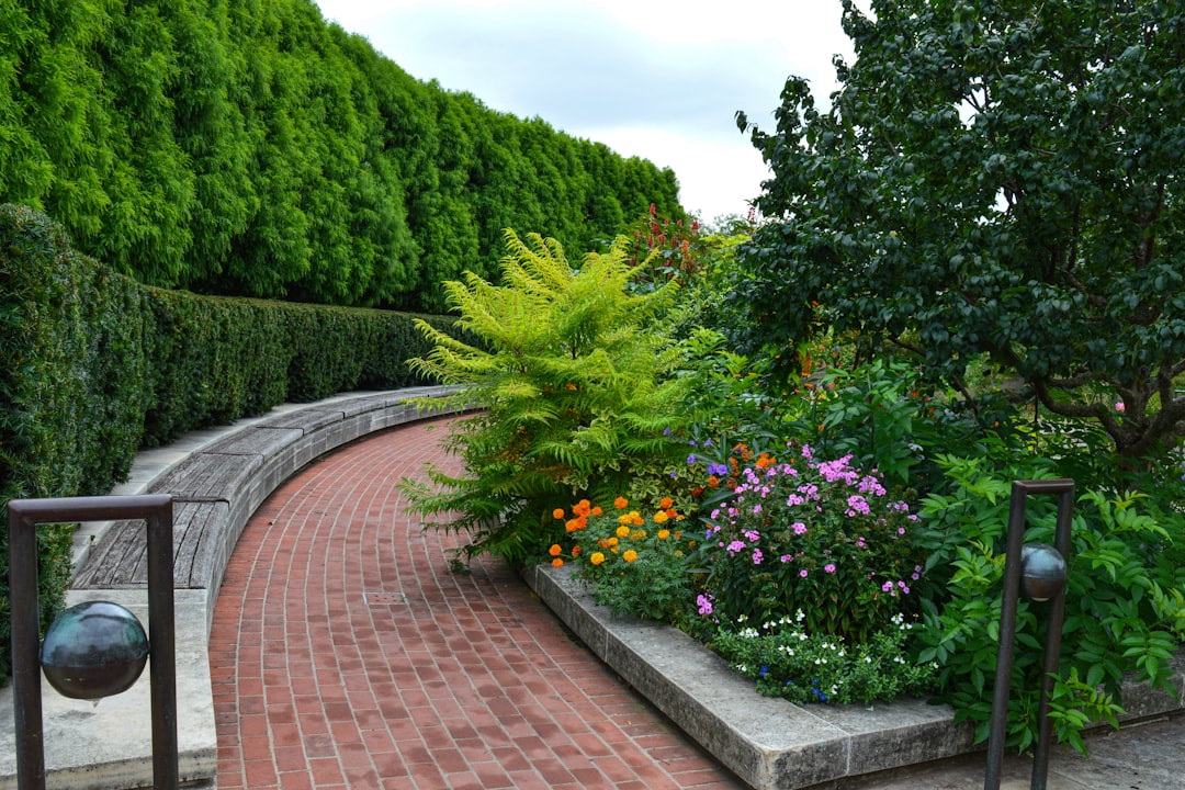 gallery-05 a-brick-path-with-a-garden-of-flowers-and-trees-aqqx2yrvb2m