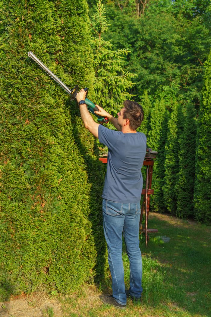 gallery-03 A man expertly trims tall hedges with an electric trimmer in a lush, green garden.