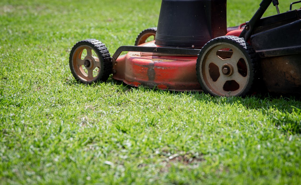 hero Photo showing a close-up of a lawn mower cutting fresh green grass on a sunny day.