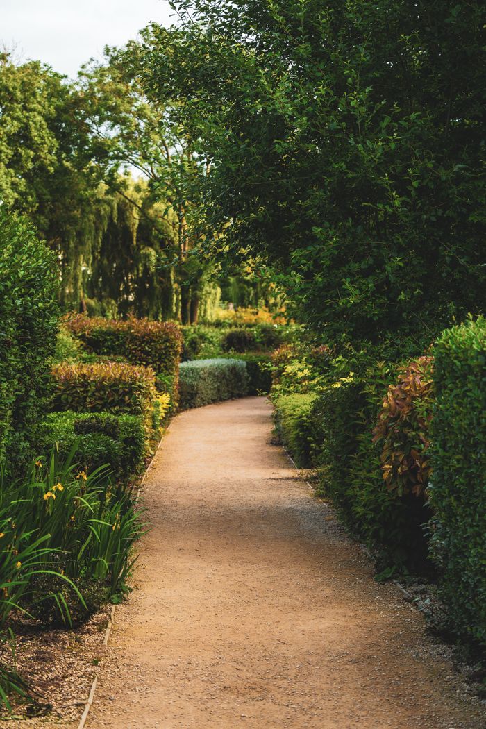 embark A peaceful garden path surrounded by vibrant hedges and greenery, perfect for nature walks.